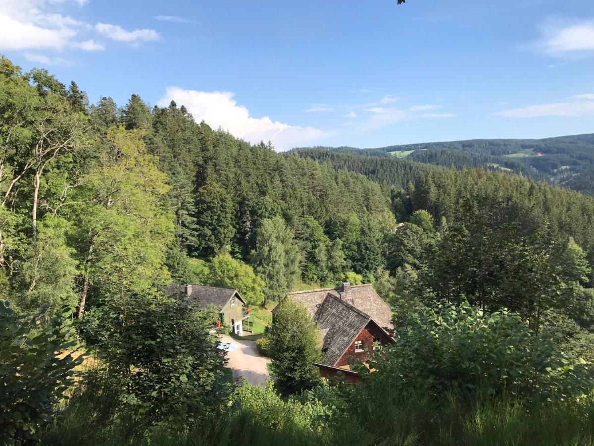 Ferienwohungen Gibbesbachhof Apartment Triberg im Schwarzwald Exterior photo