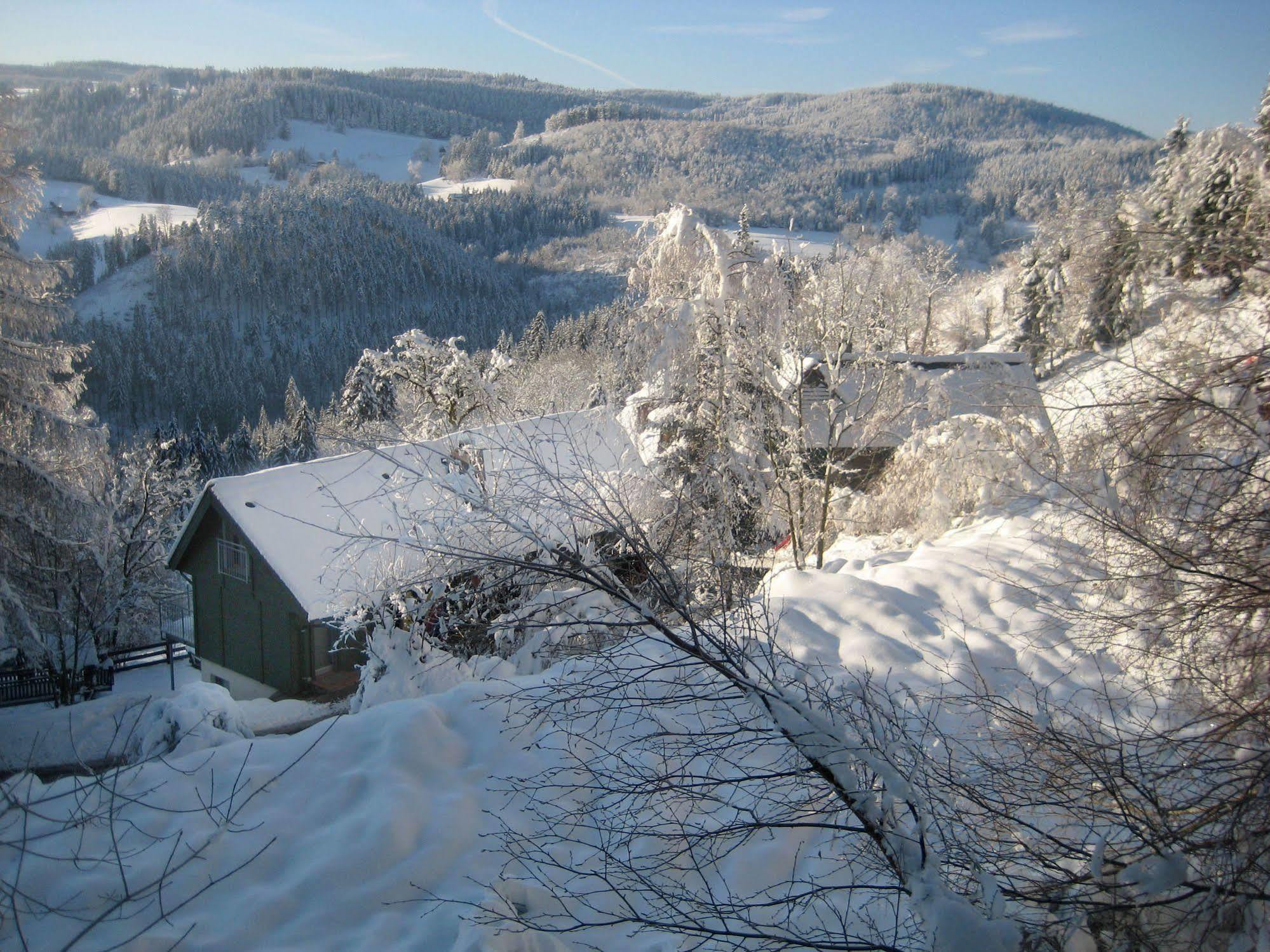 Ferienwohungen Gibbesbachhof Apartment Triberg im Schwarzwald Exterior photo
